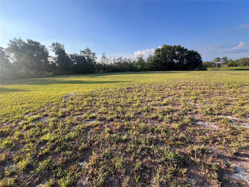 For Sale: $183,500 (0.92 acres)