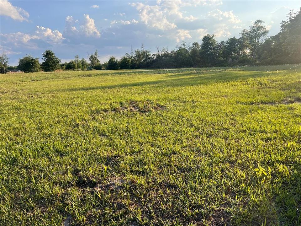 For Sale: $183,500 (0.92 acres)