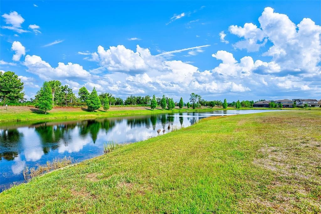 Activo con contrato: $929,900 (4 camas, 3 baños, 3350 Pies cuadrados)