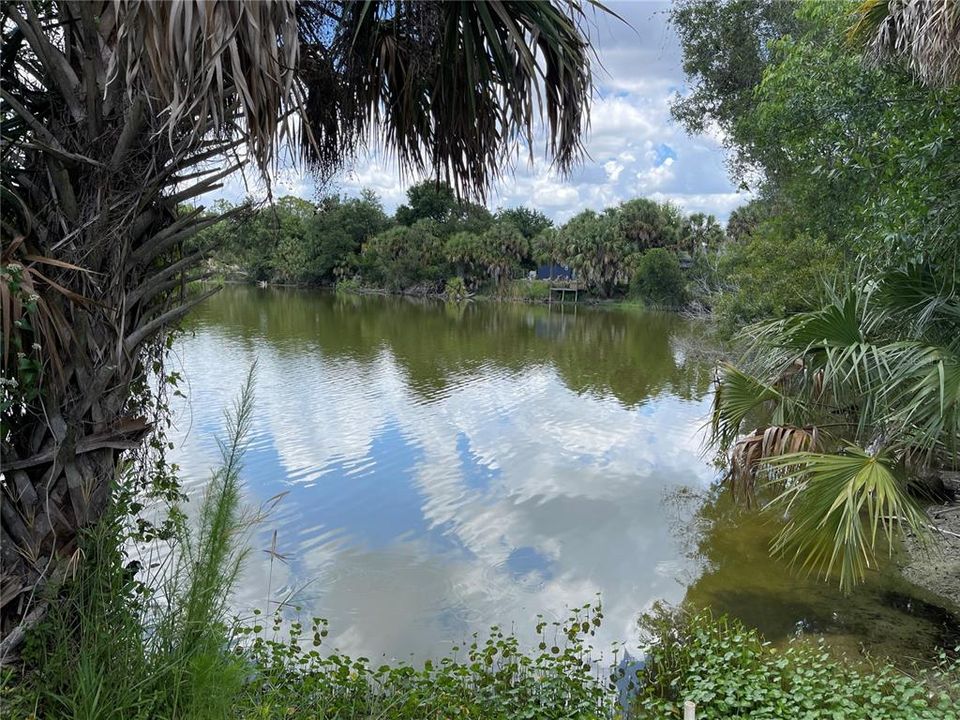 For Sale: $45,000 (0.25 acres)