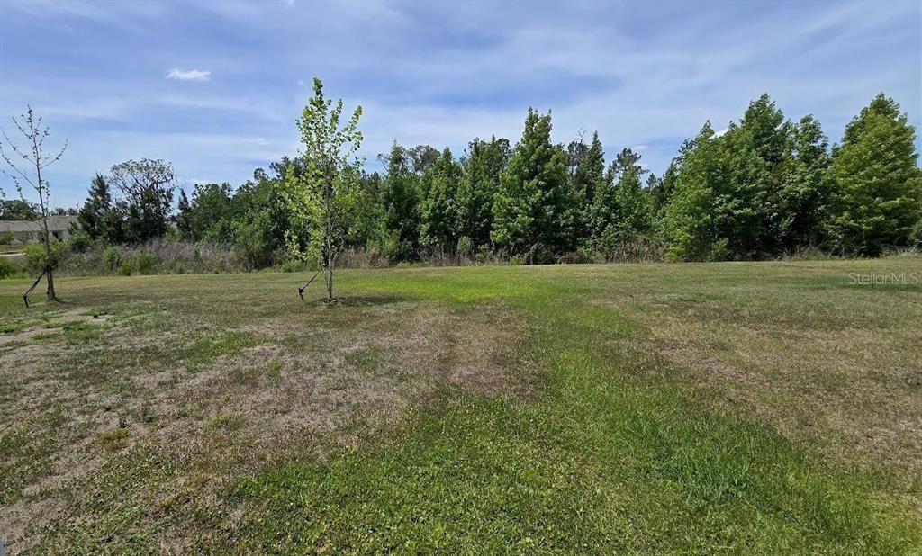 For Sale: $349,900 (3 beds, 2 baths, 1685 Square Feet)