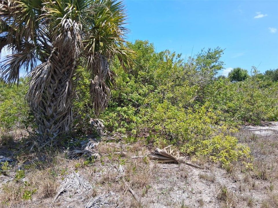 For Sale: $48,999 (0.23 acres)