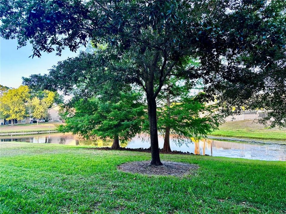 For Rent: $1,599 (2 beds, 2 baths, 1098 Square Feet)