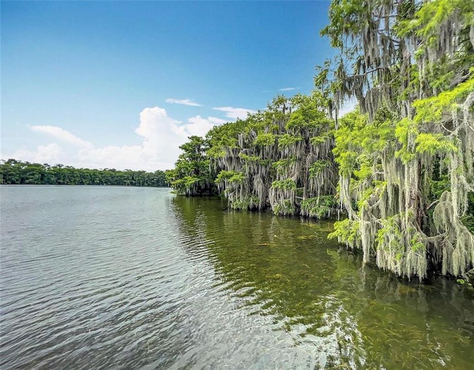 For Rent: $3,900 (4 beds, 2 baths, 2196 Square Feet)