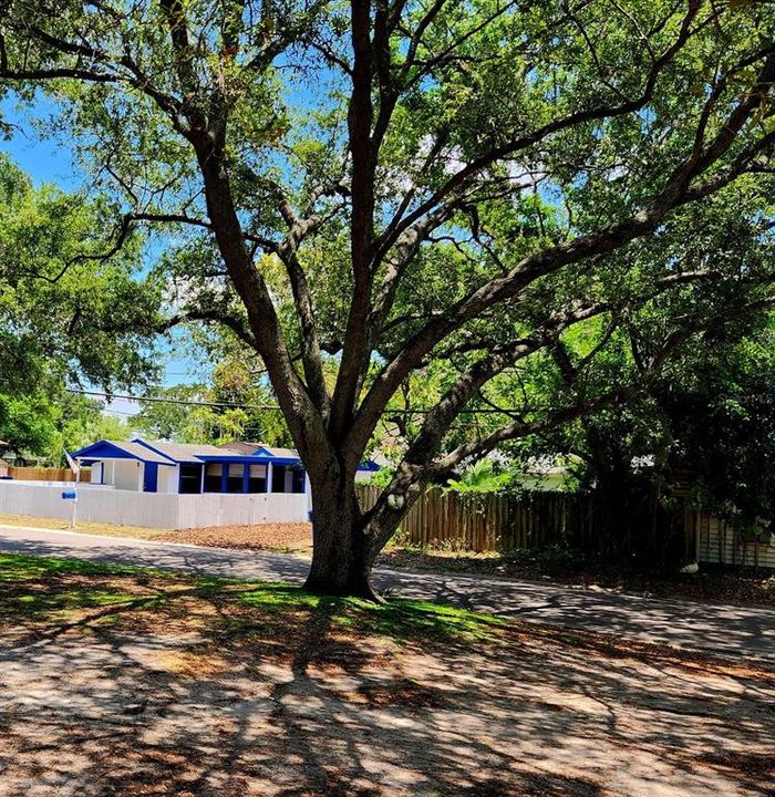 For Rent: $1,799 (2 beds, 1 baths, 875 Square Feet)