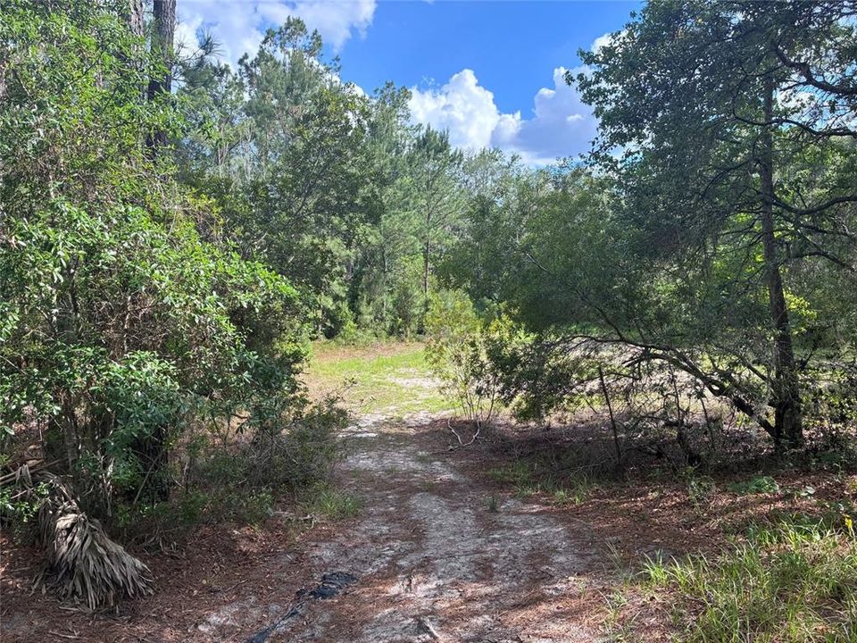For Sale: $119,000 (9.50 acres)