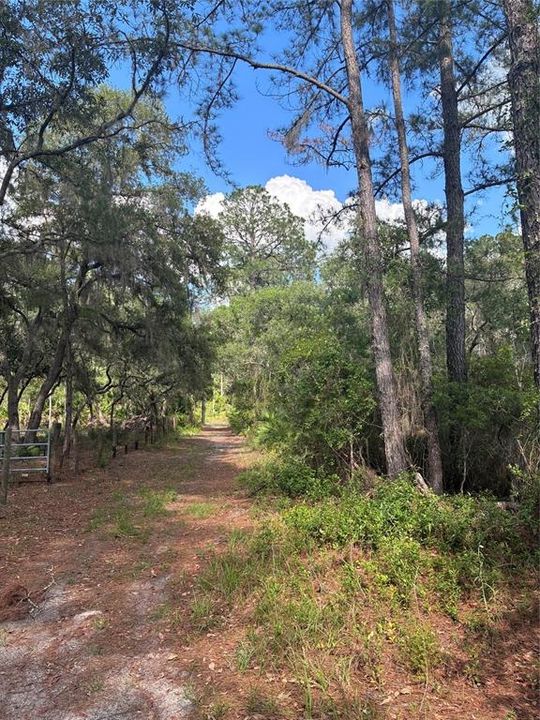 For Sale: $119,000 (9.50 acres)