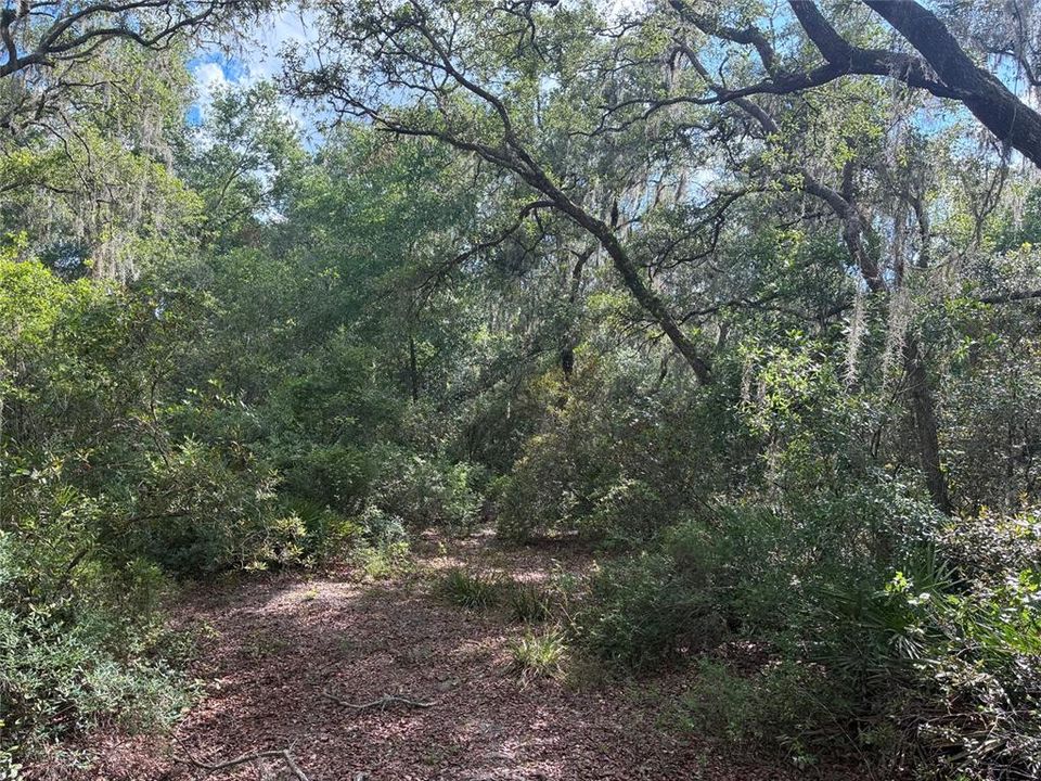 For Sale: $119,000 (9.50 acres)