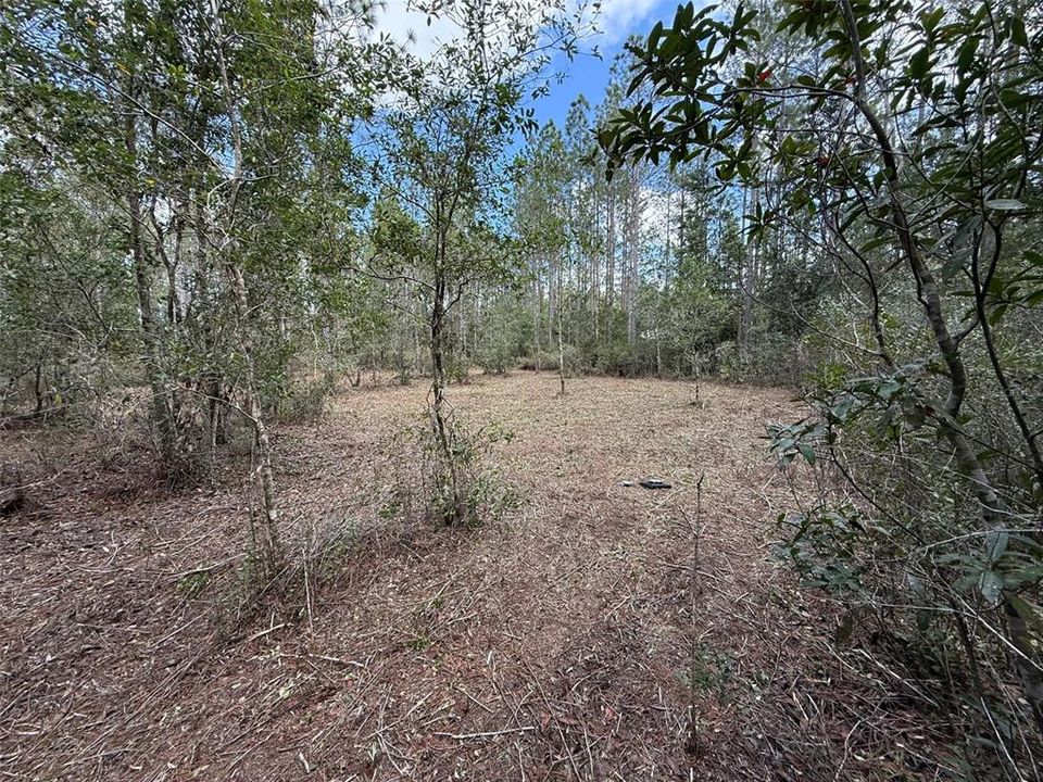 For Sale: $162,900 (5.89 acres)