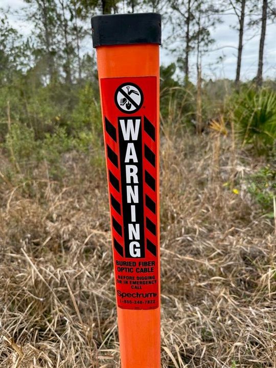 For Sale: $162,900 (5.89 acres)