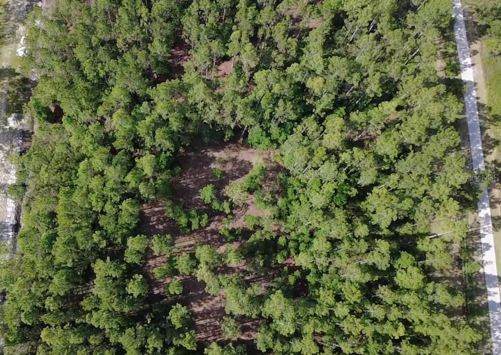 For Sale: $162,900 (5.89 acres)