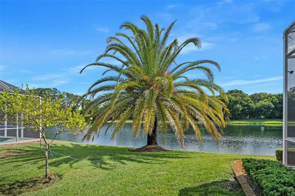 Active With Contract: $750,000 (4 beds, 3 baths, 2619 Square Feet)