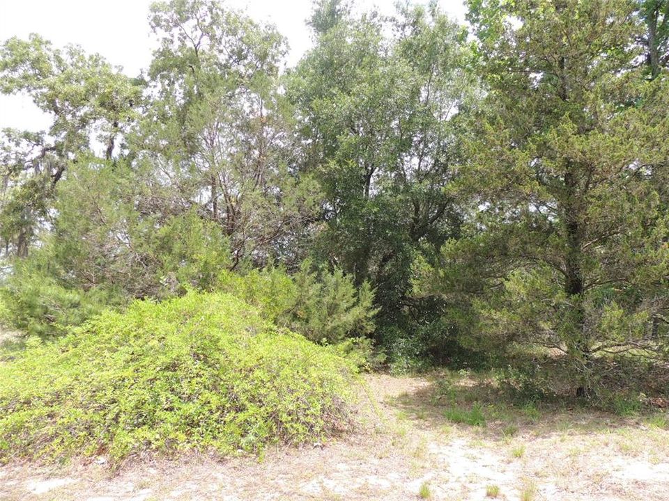 For Sale: $180,000 (2 beds, 1 baths, 1605 Square Feet)