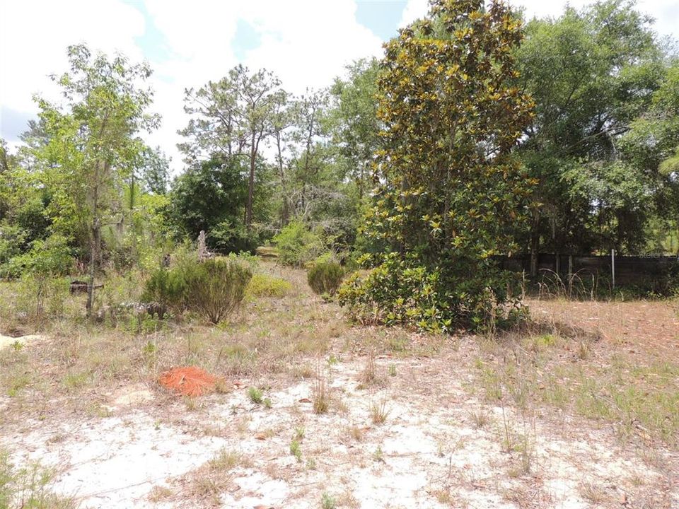 For Sale: $180,000 (2 beds, 1 baths, 1605 Square Feet)