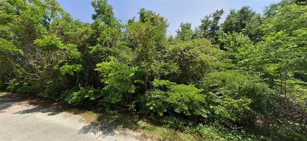 待售: $39,000 (0.52 acres)