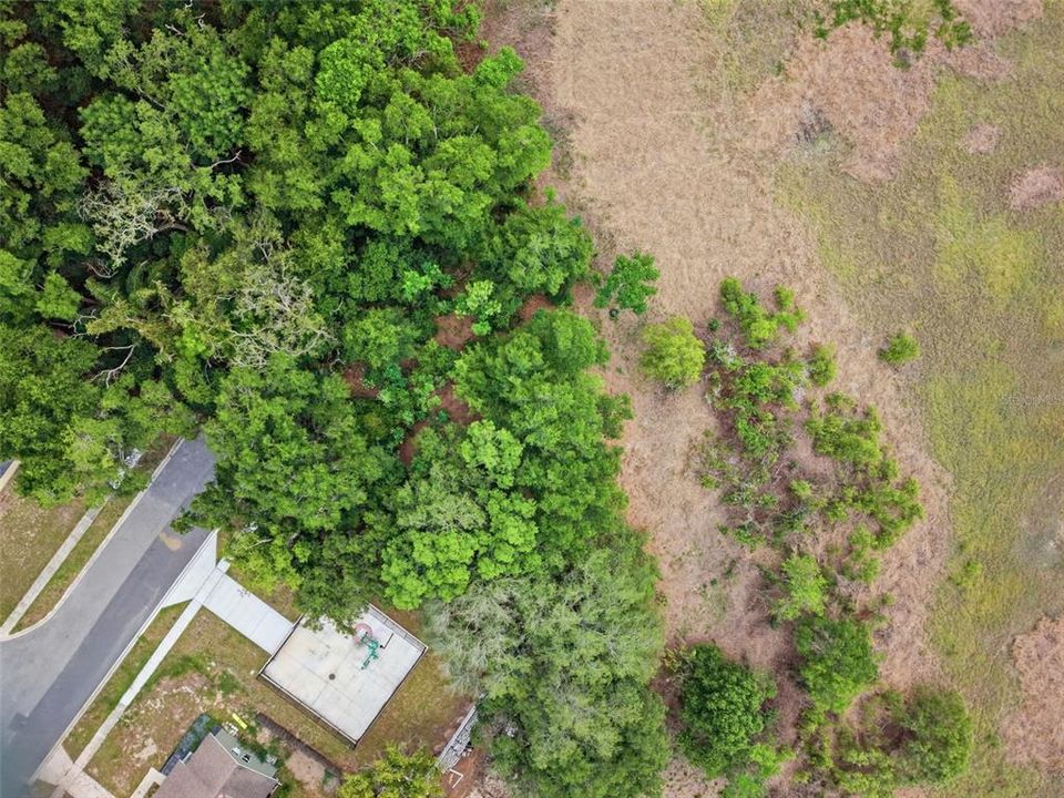 For Sale: $85,000 (0.38 acres)