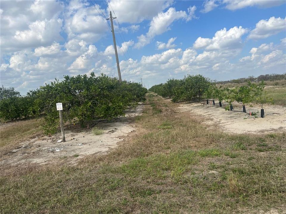 For Sale: $170,000 (20.00 acres)