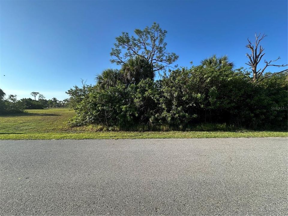 На продажу: $47,018 (0.50 acres)