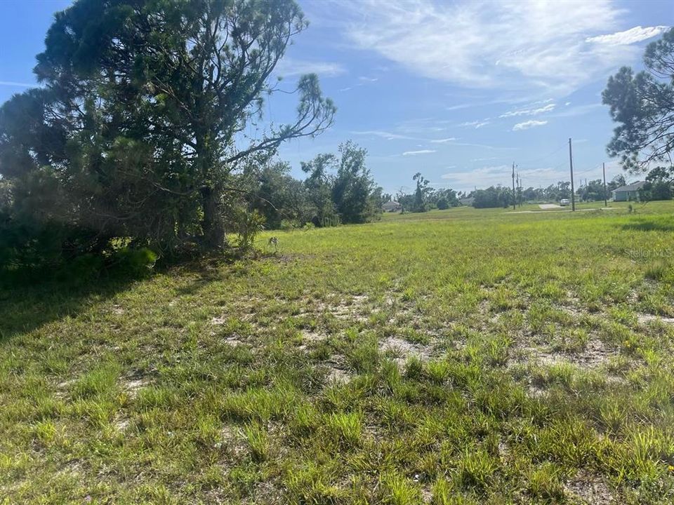 For Sale: $19,900 (0.19 acres)