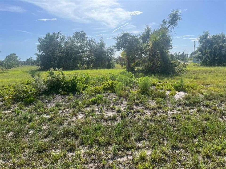 For Sale: $19,900 (0.19 acres)