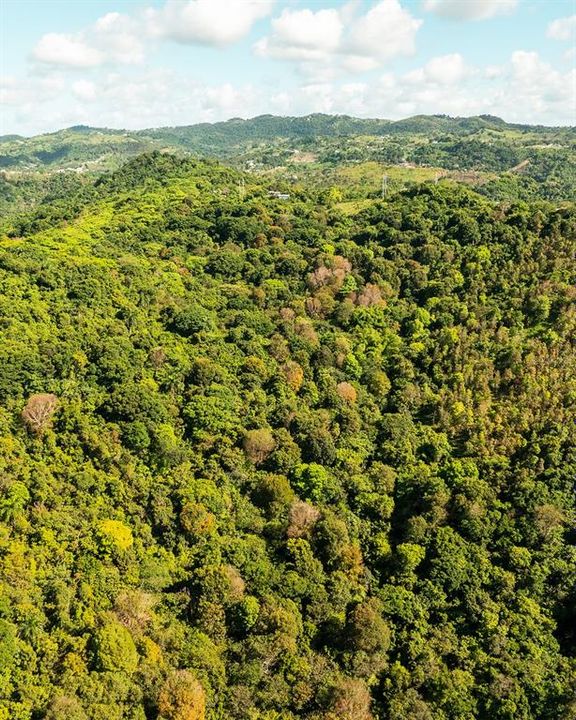 En Venta: $115,000 (6.72 acres)