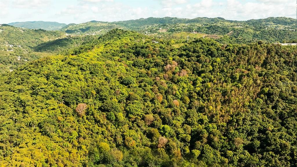 En Venta: $115,000 (6.72 acres)