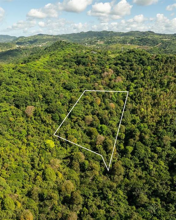 En Venta: $115,000 (6.72 acres)