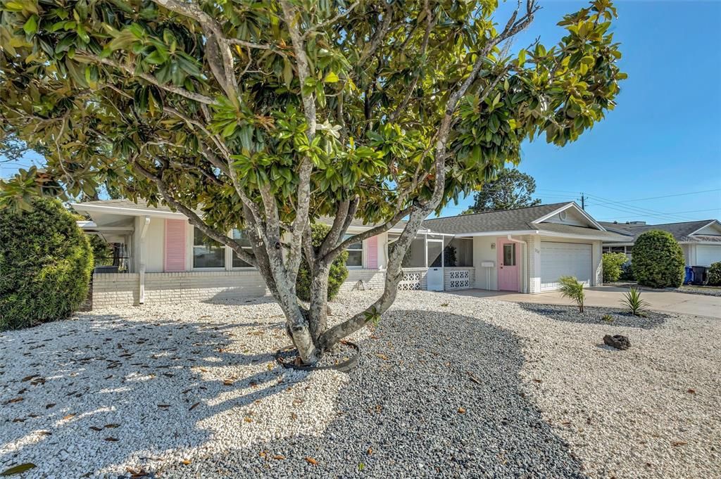 Active With Contract: $320,000 (3 beds, 2 baths, 2200 Square Feet)