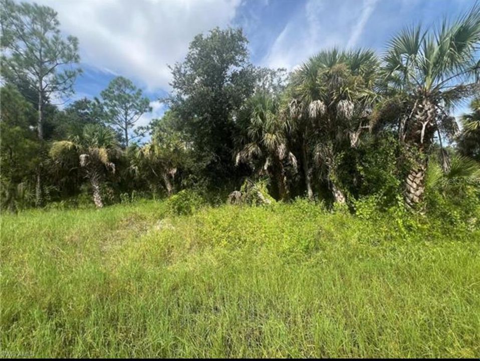 En Venta: $21,500 (0.23 acres)