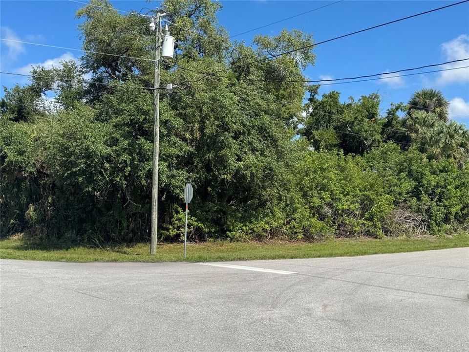 For Sale: $29,900 (0.23 acres)