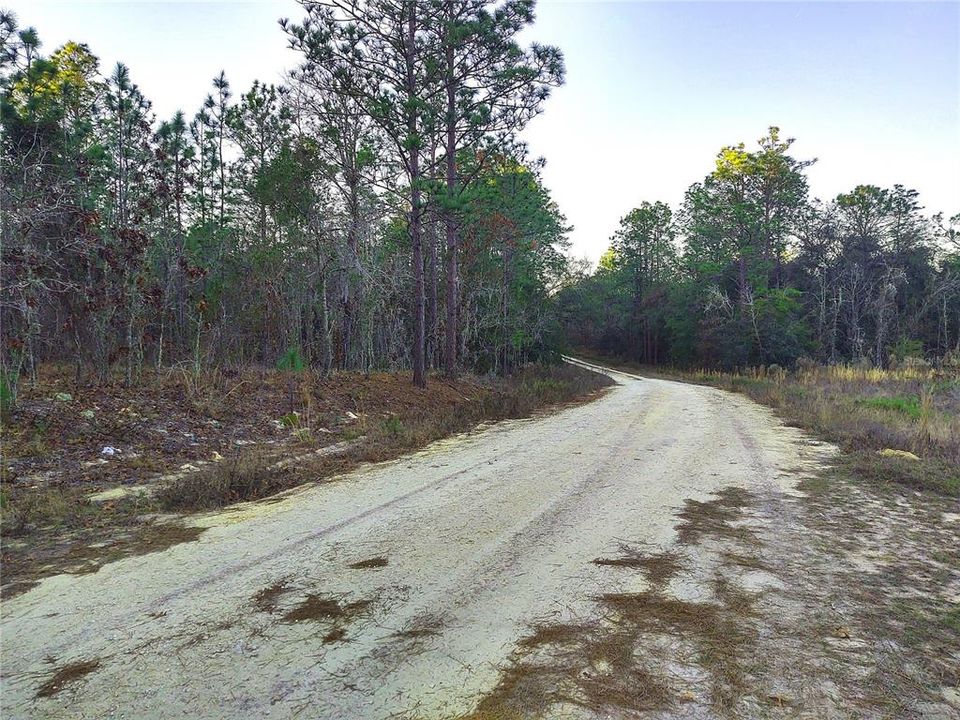 En Venta: $79,900 (1.39 acres)