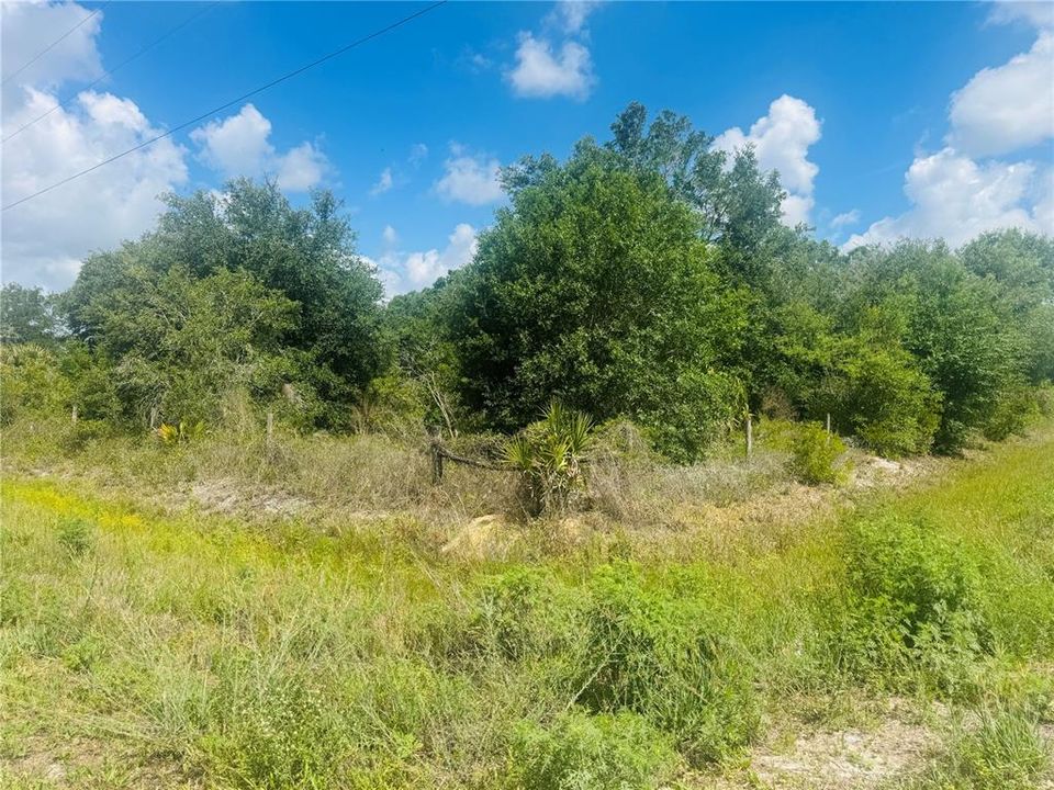For Sale: $55,000 (1.25 acres)