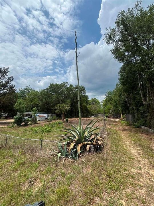 For Sale: $39,000 (0.24 acres)