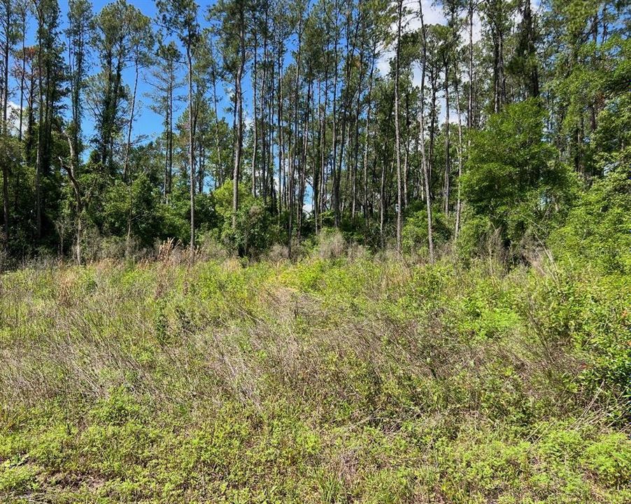 На продажу: $22,000 (0.25 acres)
