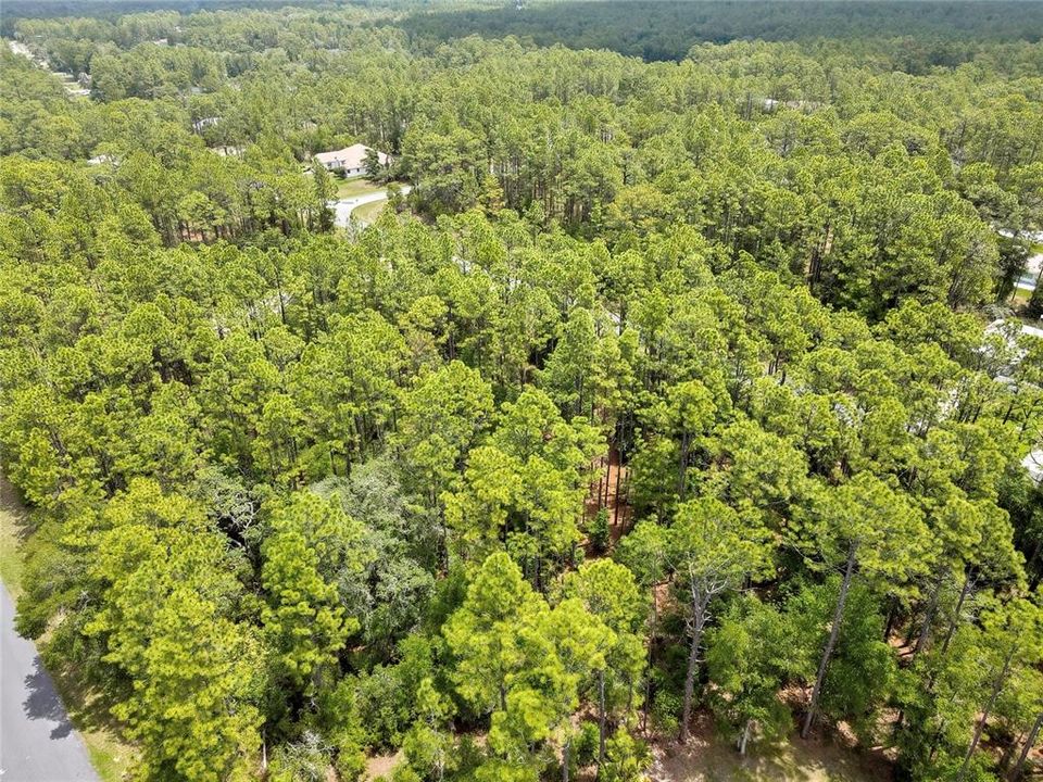 For Sale: $20,000 (0.23 acres)