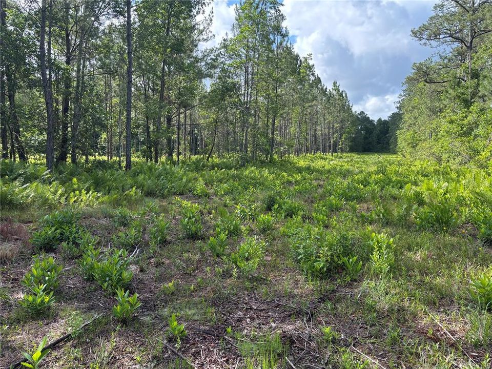 En Venta: $187,000 (17.94 acres)