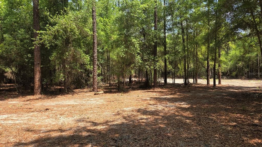 En Venta: $115,000 (4.29 acres)
