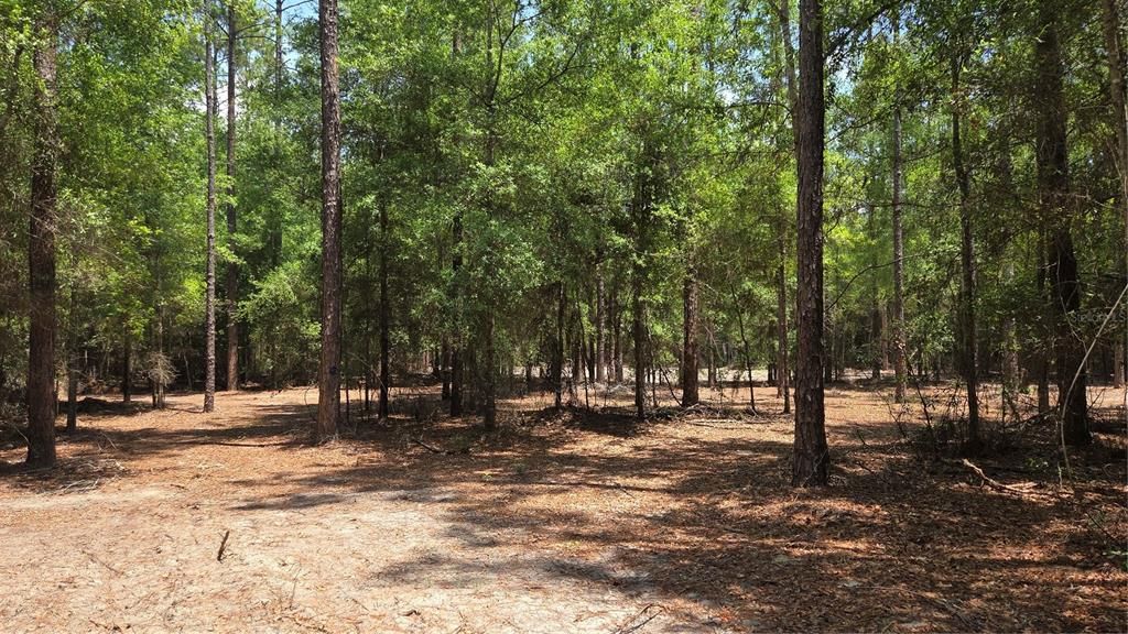 En Venta: $115,000 (4.29 acres)