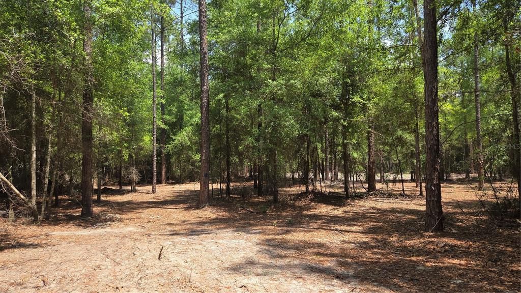 En Venta: $115,000 (4.29 acres)