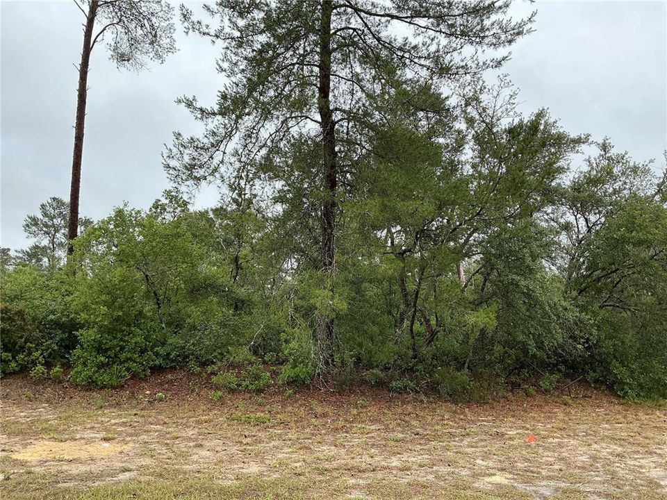 待售: $50,000 (0.35 acres)