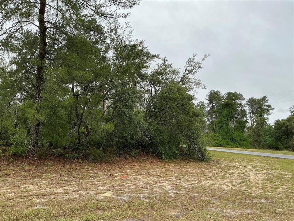 待售: $50,000 (0.35 acres)
