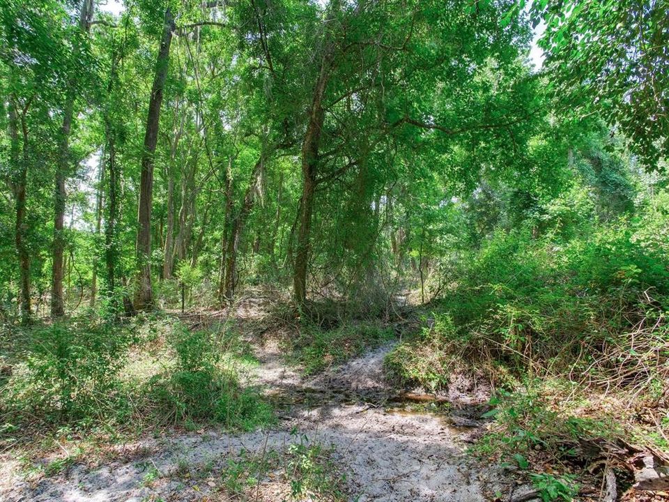 For Sale: $790,000 (39.40 acres)
