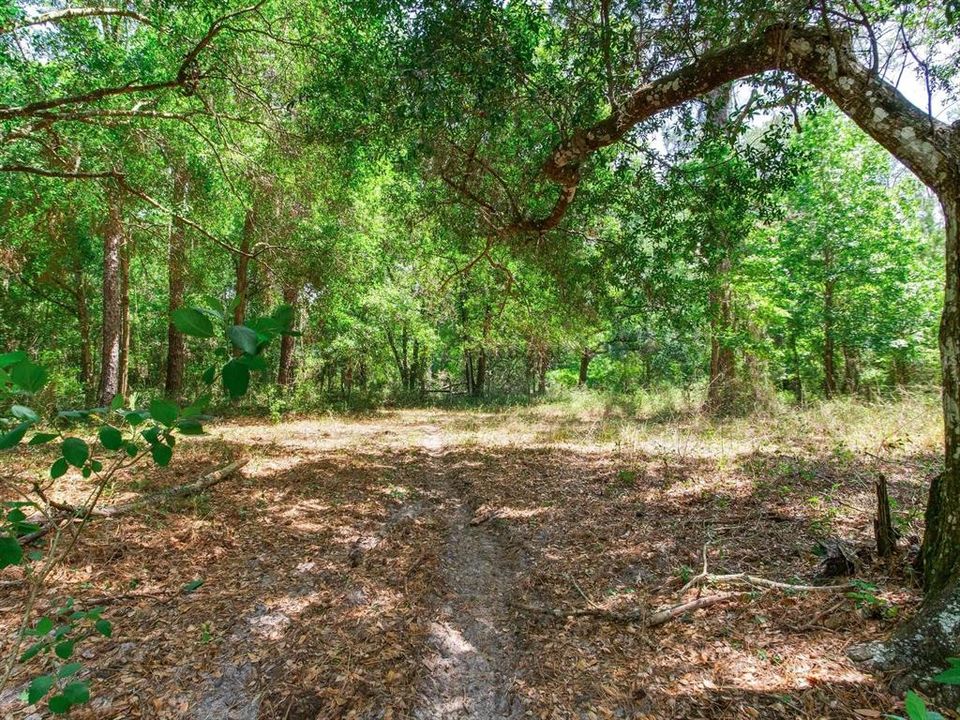 For Sale: $790,000 (39.40 acres)
