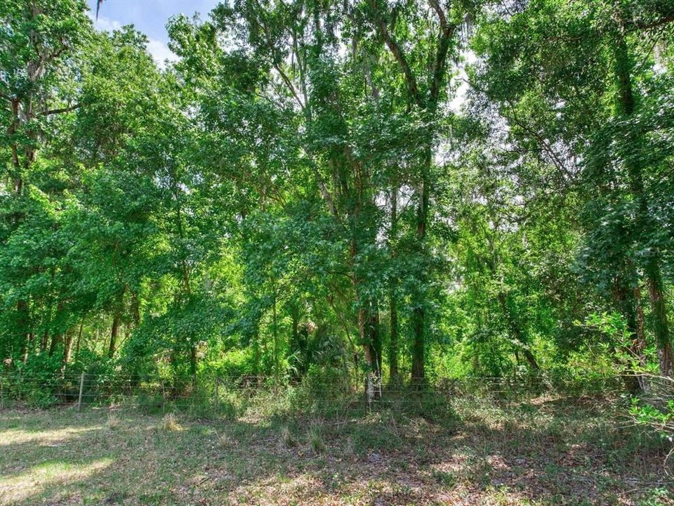 For Sale: $790,000 (39.40 acres)