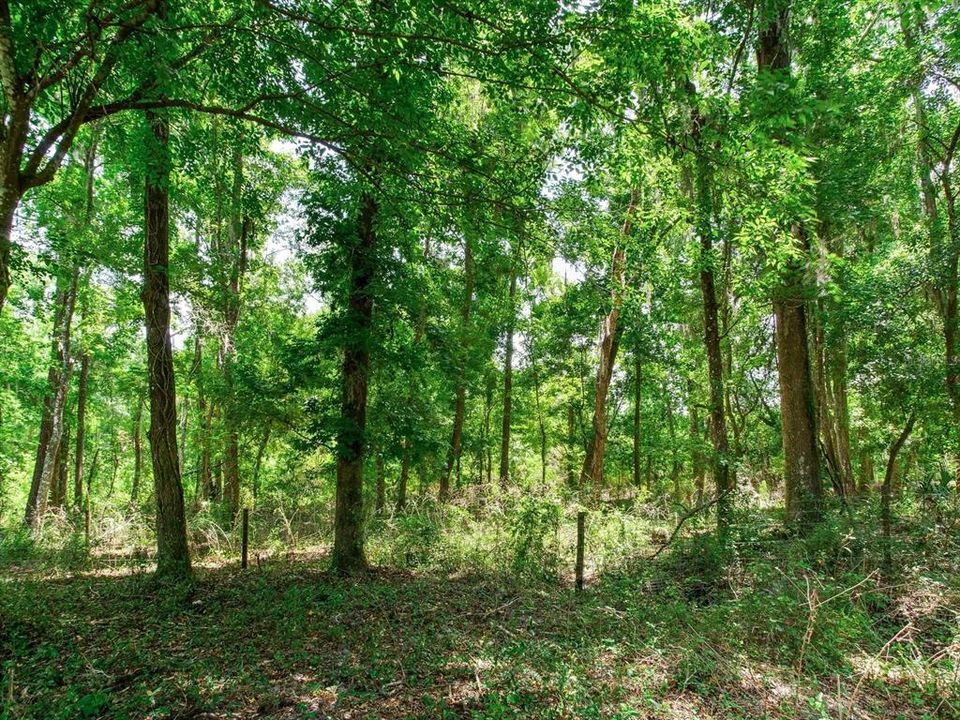 For Sale: $790,000 (39.40 acres)