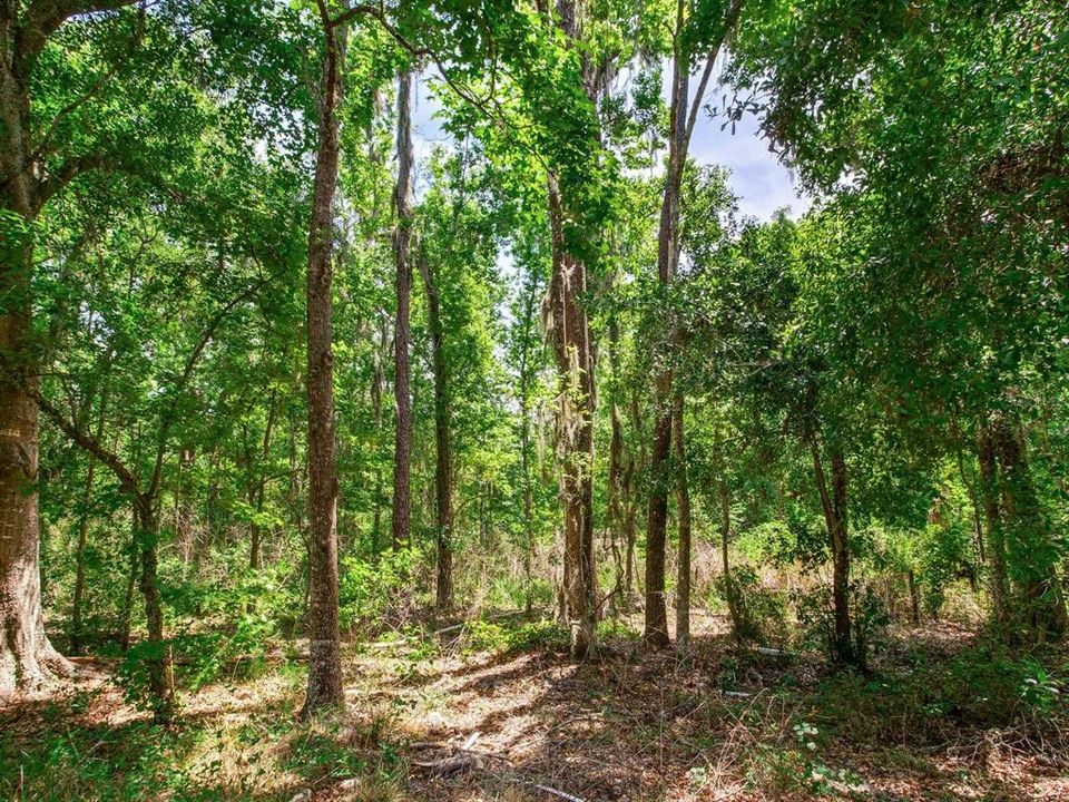 For Sale: $790,000 (39.40 acres)