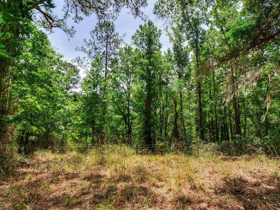 For Sale: $790,000 (39.40 acres)