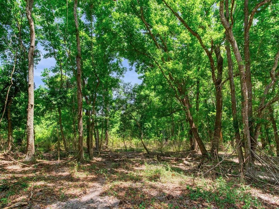 For Sale: $790,000 (39.40 acres)