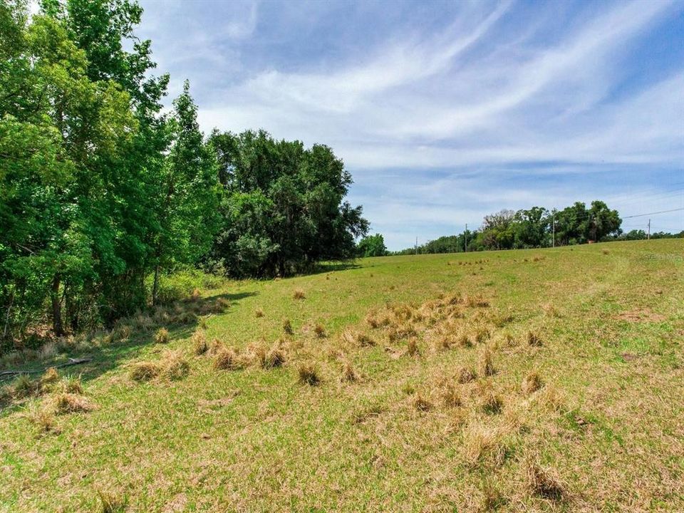 For Sale: $790,000 (39.40 acres)