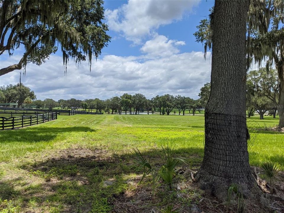На продажу: $595,000 (10.06 acres)